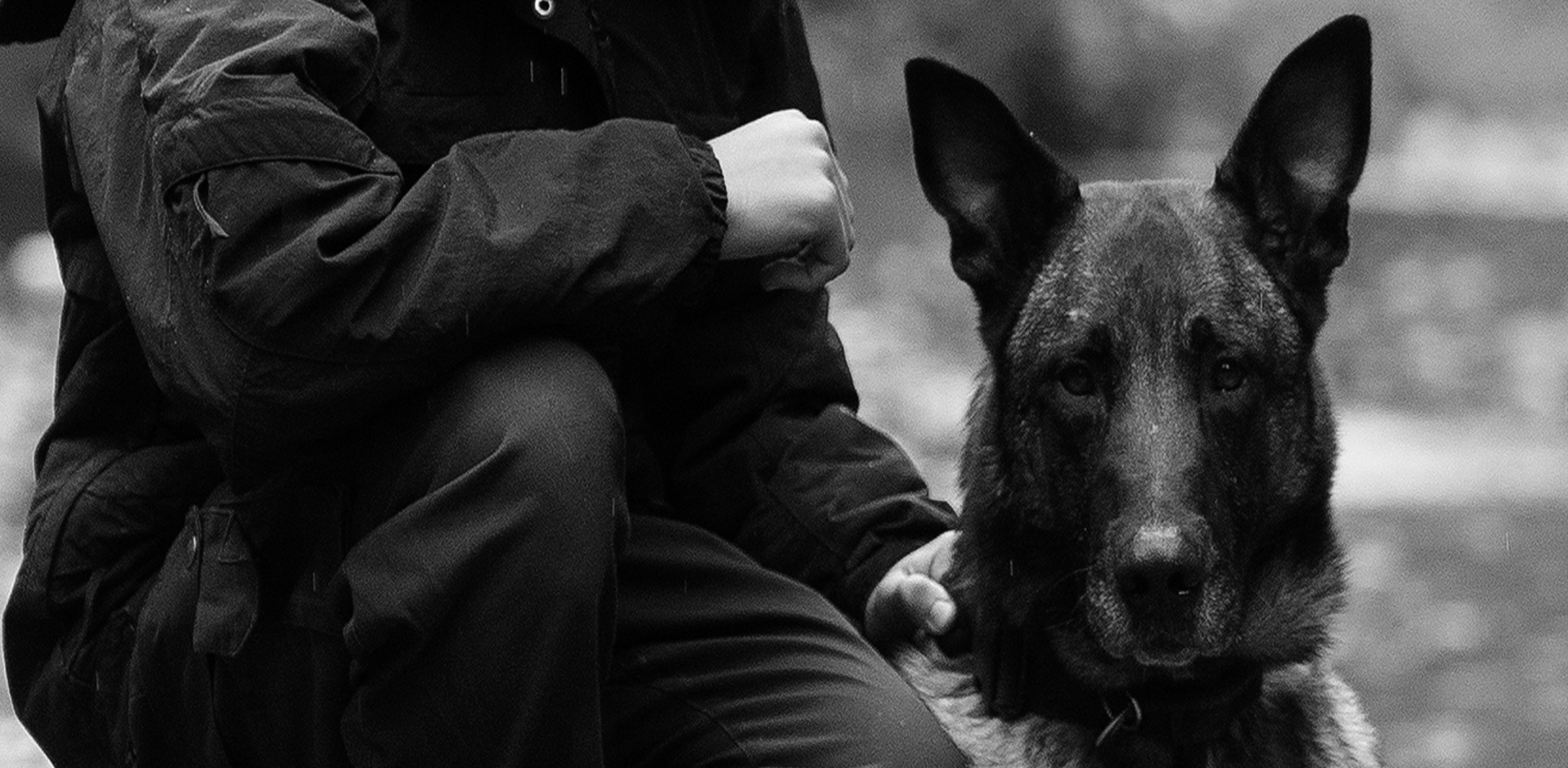 Berner Hunde Security GmbH